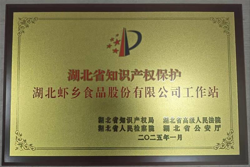 湖北省知识产权保护工作站